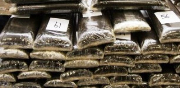 Nouvelle saisie record : L'armée met la main sur plus d'une tonne de cocaine