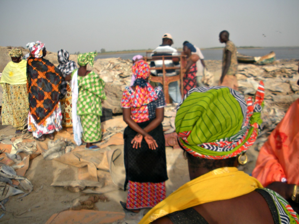 Le 08 Mars, Honneur aux Femmes, piliers du développement et de la révolution agricole au Sénégal