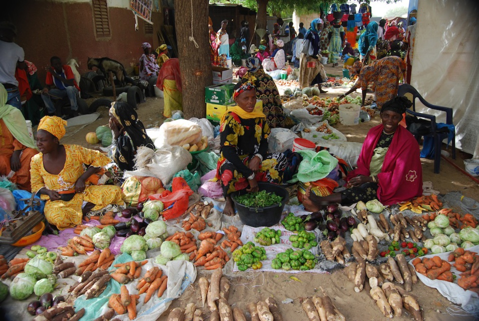 Ziguinchor/ couvre feu: le secteur économique touché de plein fouet