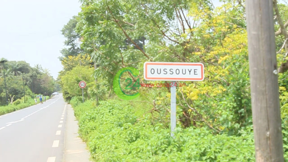 OUSSOUYE : Un homme retrouvé pendu dans la brousse 