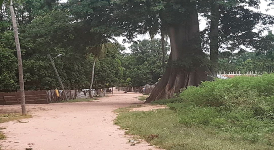 SIBIKOUROTO : UN TRÉSOR CACHÉ EN CASAMANCE 