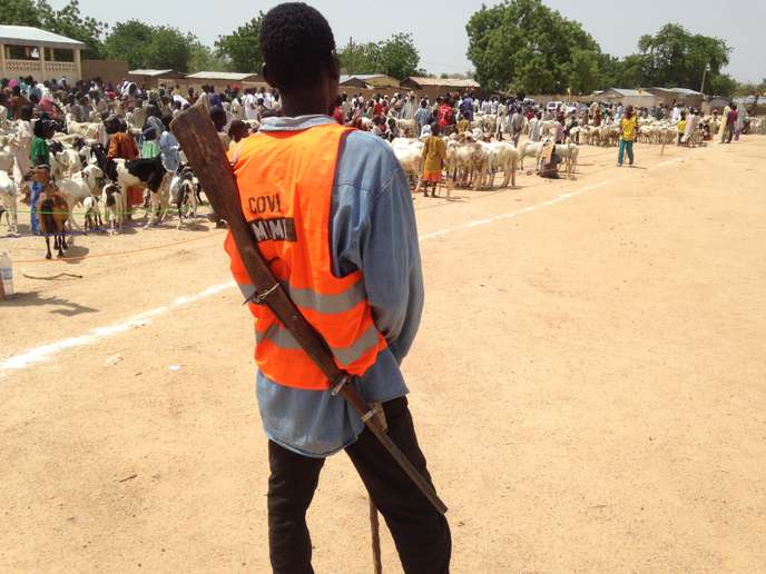 Dans le nord du Cameroun, les attaques quasi quotidiennes de Boko Haram