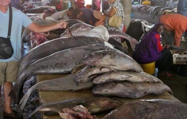 Contre la nouvelle taxe sur la charge à l’essieu: l’Union des mareyeurs du Sénégal en grève de 72 heures à partir de demain