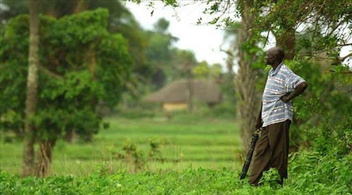 Boutoupa-Camaracounda: Les 2 corps étaient bien ceux des portés disparus, qu’en est-il du troisième ?