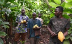 « La chute du cours du cacao a un lien direct avec la pauvreté qui sévit en Afrique de l’Ouest »