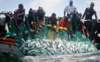 Affaire des pêcheurs de Saint-Louis: la Mauritanie annule les amendes