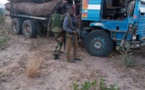 Trafic de bois : Deux camions Gambiens saisis à Sindian (Bignona)