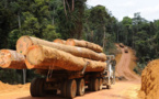 (VIDEO) Trafic de bois en Casamance : Le Colonel Major Baidy Ba hausse le ton