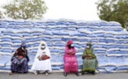 Au Sénégal, le long chemin vers l’autosuffisance en riz