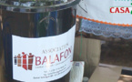 LE BALAFON : UNE ASSOCIATION AU SERVICE DU DÉVELOPPEMENT