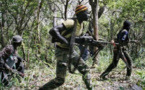 (Document) Acculés par l’offensive des ‘‘Jambars’’, les rebelles menacent Bissau