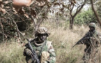 Casamance : Sant'Egidio demande la fin de l'offensive de l'armée contre les bases rebelles