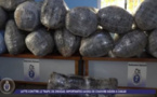 Trafic de drogue : La gendarmerie saisit 860 kg de chanvre indien, entre Thiès et Dakar, 08 personnes interpellées