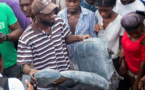 En Haïti, le crash d'un petit avion près de Port-au-Prince fait plusieurs morts