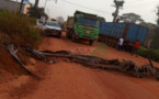 ZIGUINCHOR : EXCÉDÉS PAR LES LENTEURS, LES JEUNES DE KANTÈNE BLOQUENT LA RN4