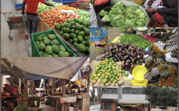 Implantation des grandes surfaces Française au Sénégal : Vers le déclin du petit commerce de proximité ?