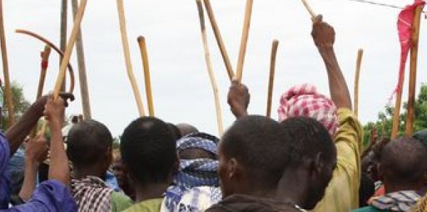 le à Morphil : Un mort dans des affrontements entre agriculteurs et éleveurs