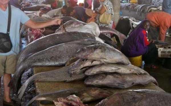 Contre la nouvelle taxe sur la charge à l’essieu: l’Union des mareyeurs du Sénégal en grève de 72 heures à partir de demain