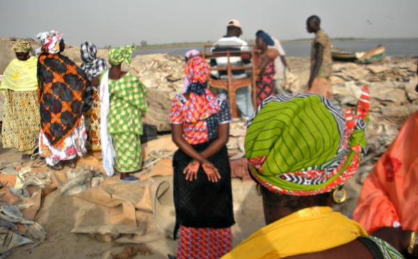 Le 08 Mars, Honneur aux Femmes, piliers du développement et de la révolution agricole au Sénégal