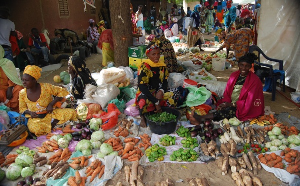 Ziguinchor/ couvre feu: le secteur économique touché de plein fouet