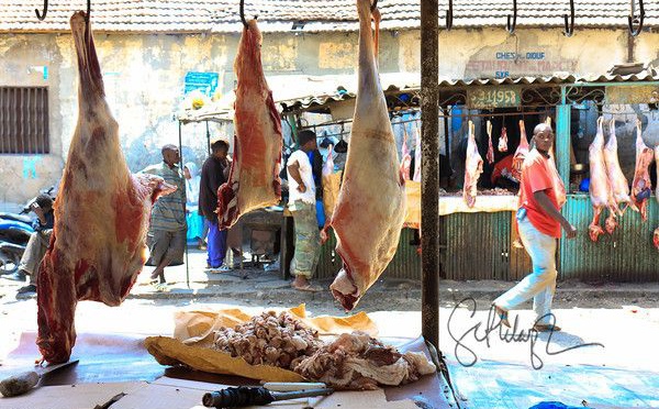 Ziguinchor:Conséquences/ covid-19: le prix du kg de la viande de mouton a flambé