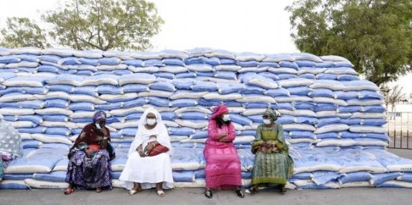 Au Sénégal, le long chemin vers l’autosuffisance en riz