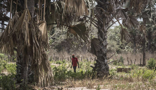 BOUTOUPA CAMARACOUNDA : DEUX CORPS SANS VIE RETROUVÉS DANS LA FORÊT DE BILASSE