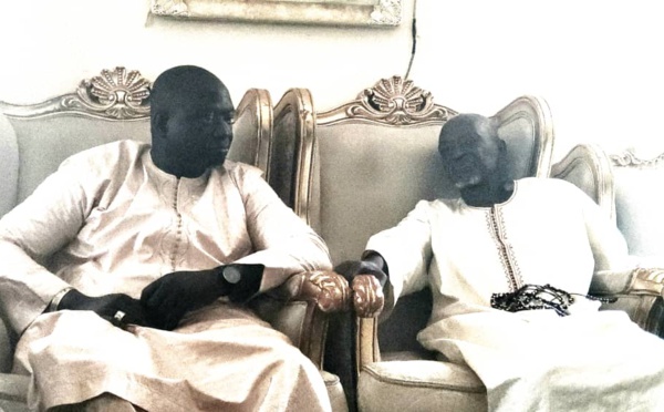 GAMOU ANNUEL DE TAÏBA MARSASOUM : UNE FORTE DÉLÉGATION ACCOMPAGNE SEYDOU SANÉ