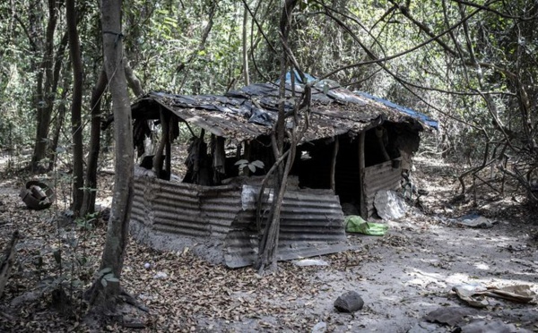 OPÉRATION EN CASAMANCE : DES POPULATIONS FUIENT LA ZONE FRONTALIÈRE