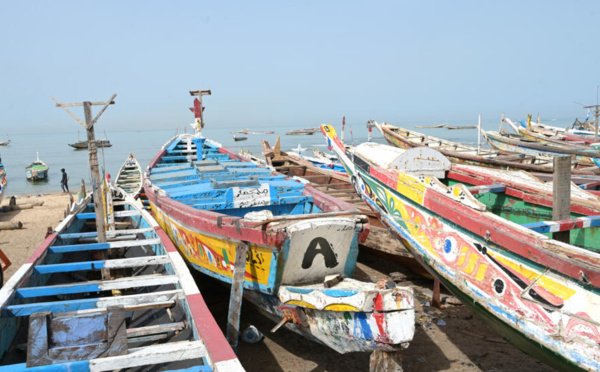 DÉCOUVERTE D'UNE PIROGUE AVEC 30 CORPS SANS VIE AU LARGE DE DAKAR